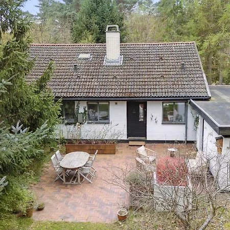 Modernised 70s In Forest Near